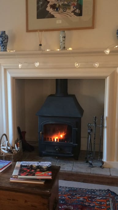 Log Burner with an endless supply of wood