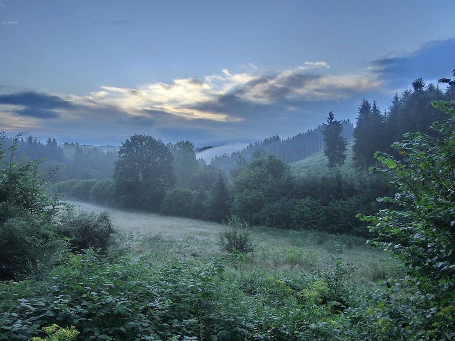 Betoverend uitzicht vanuit onze B&B