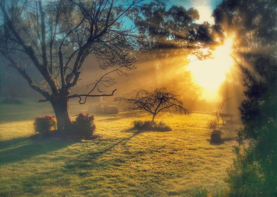 Spectacular photo of the morning sun over the front gate