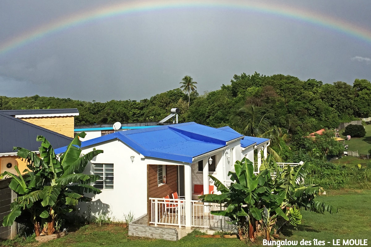 A bungalow with a vibrant blue roof is set against a lush green landscape, accented by banana plants. A colorful rainbow arches gracefully above the structure, enhancing the serene atmosphere of the surroundings.
