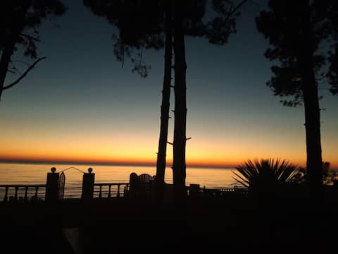 Villa Ekoi 
Entire Property