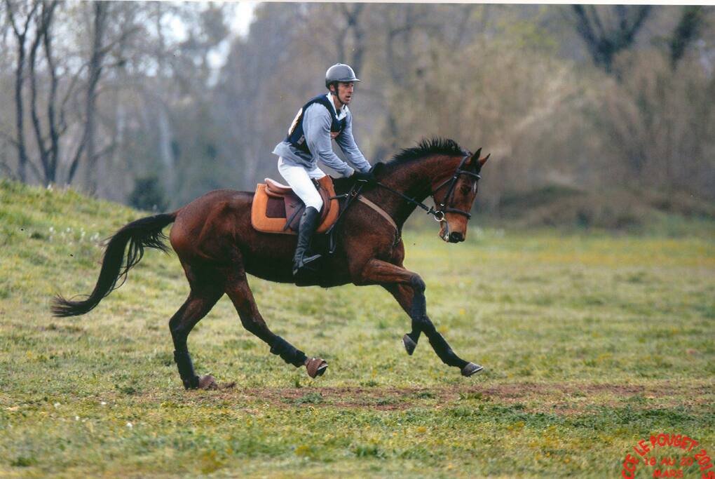 Possibilité avec ou sans son cheval d’être coaché en compétition