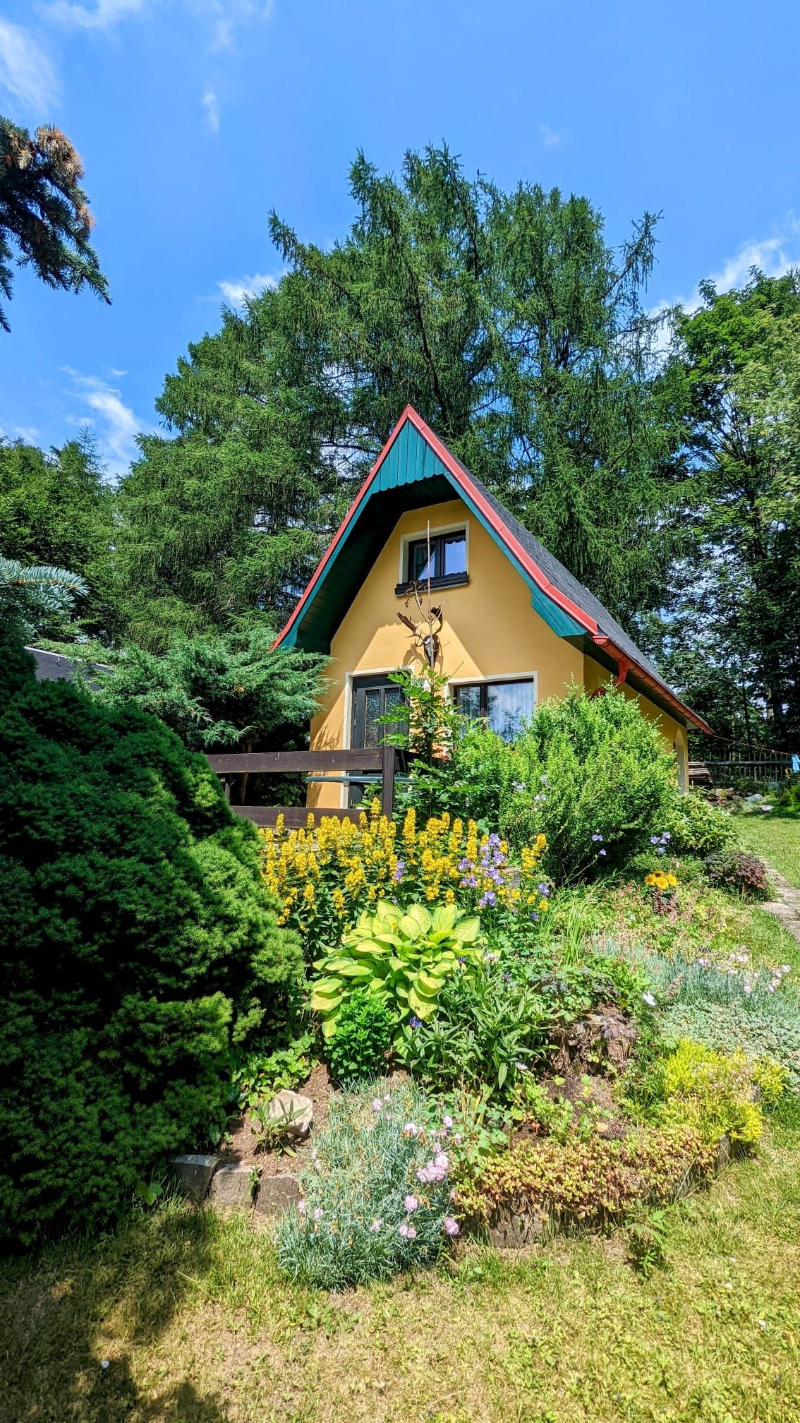 A charming A-frame house is surrounded by lush greenery and colorful flowers. The exterior features yellow walls and a red roof, with varied plants and shrubs offering a vibrant landscape. A wooden railing surrounds the front, inviting guests into the tranquil setting.