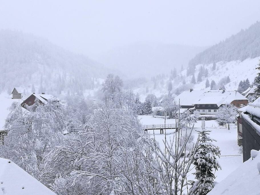 Blick aus dem Fenster