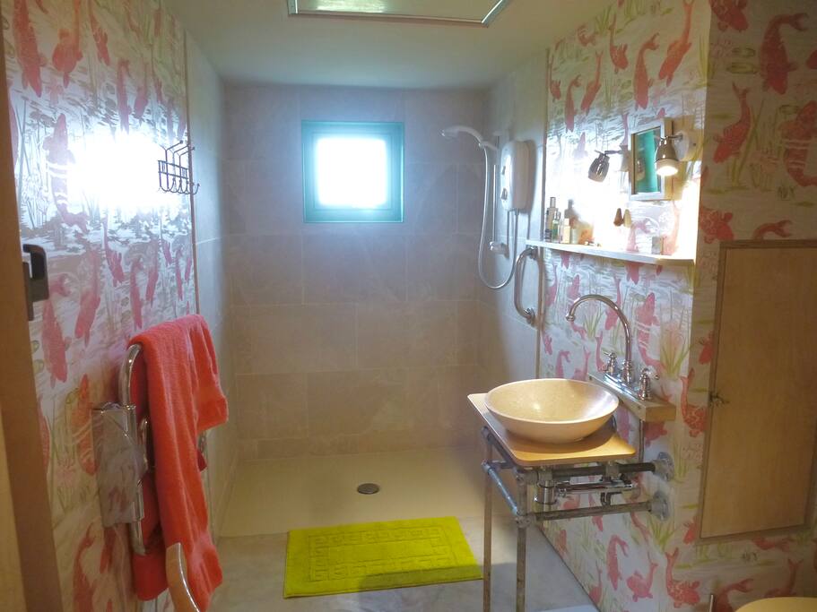 Shower Room