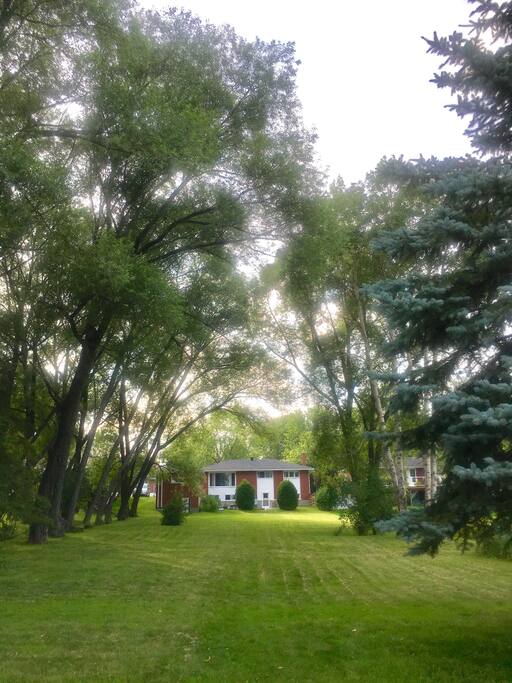 Rooms For Rent Near Laurentian University Rooms For Rent Near Laurentian University