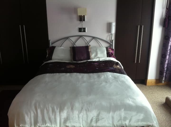 Luxurious and spacious house in Kerry(double room) Houses for Rent in