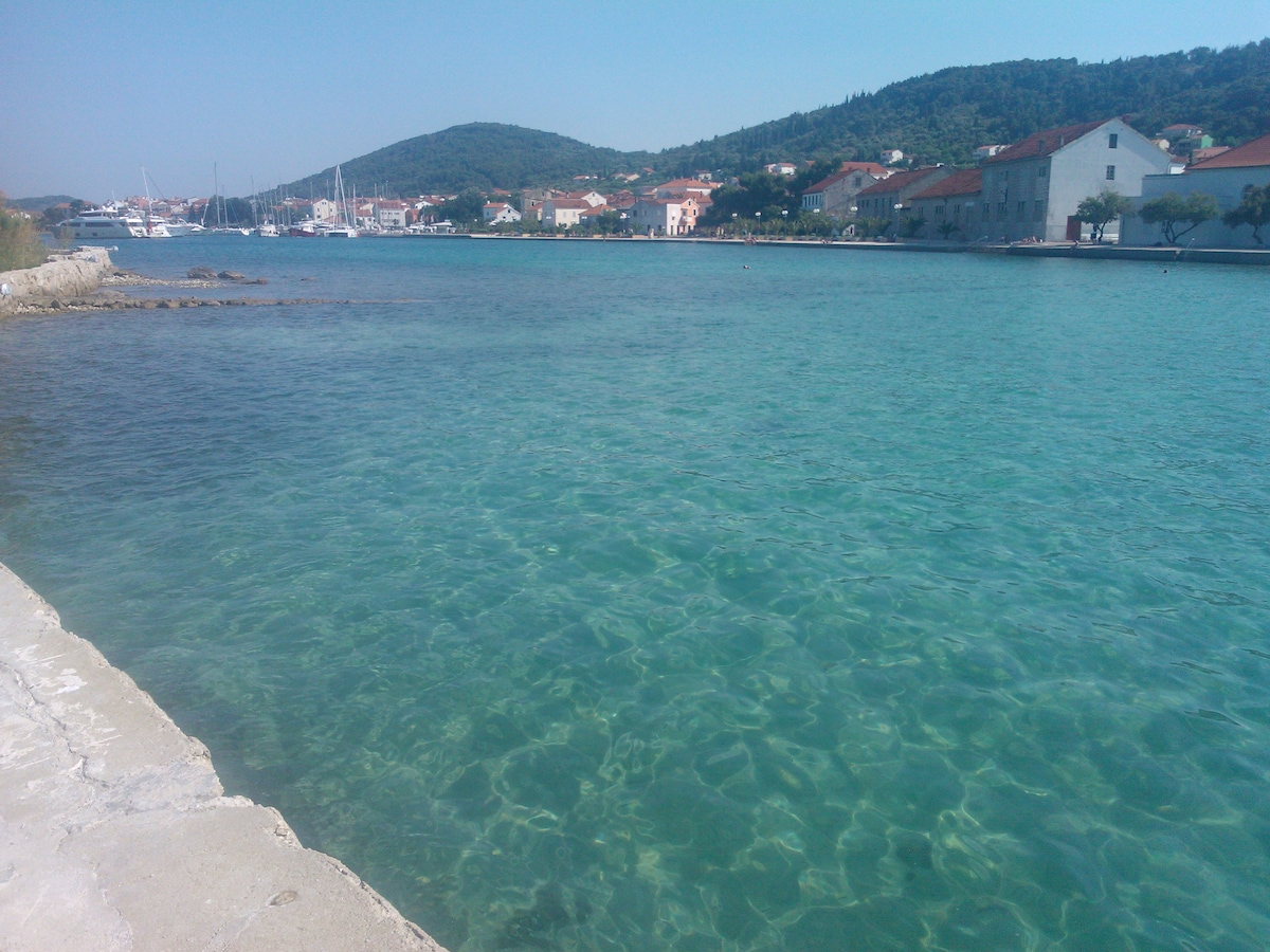 A clear view of calm turquoise waters extends along the shoreline, with gentle ripples visible. In the background, a scenic harbor is framed by charming buildings and green hills, creating a serene coastal atmosphere.