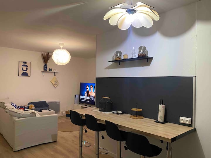 Bel Appartement 50m Carré, à 100 Mètres De La Mer - Le Barcarès