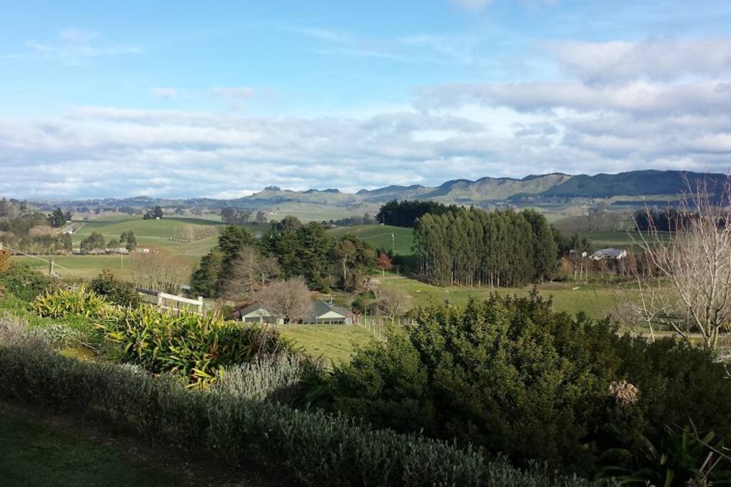 View from the house