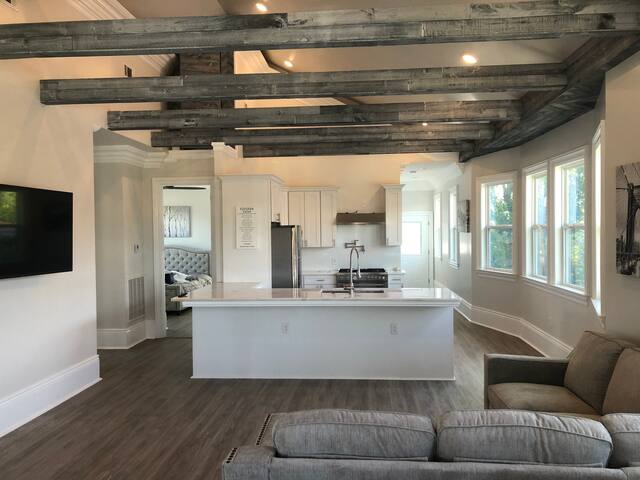 Penthouse Walking Distance to St Charles streetcar gallery image 2