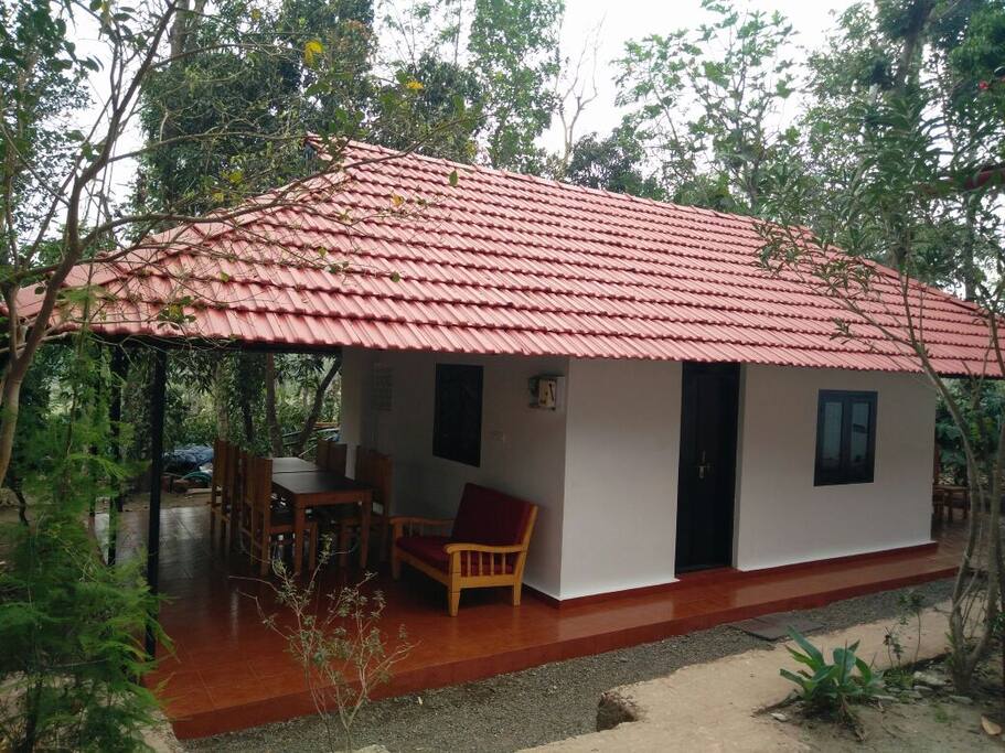 Front View