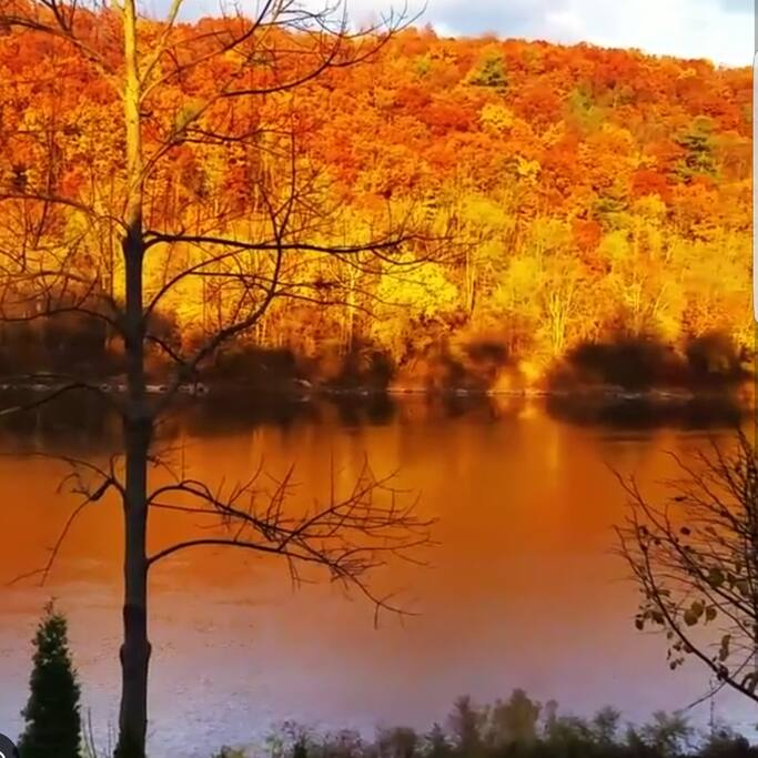 View from porch of fall foliage.