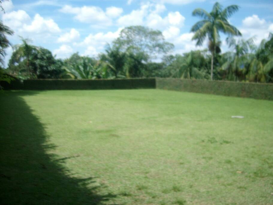 Campo