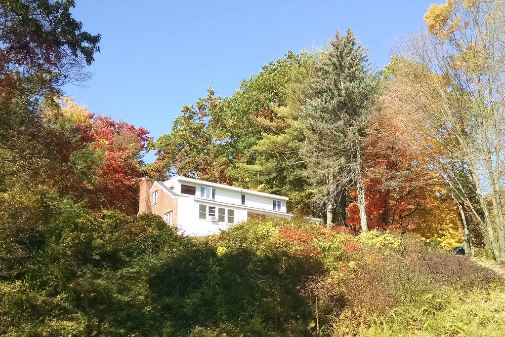 A Hilltop Hideaway tucked into the trees!