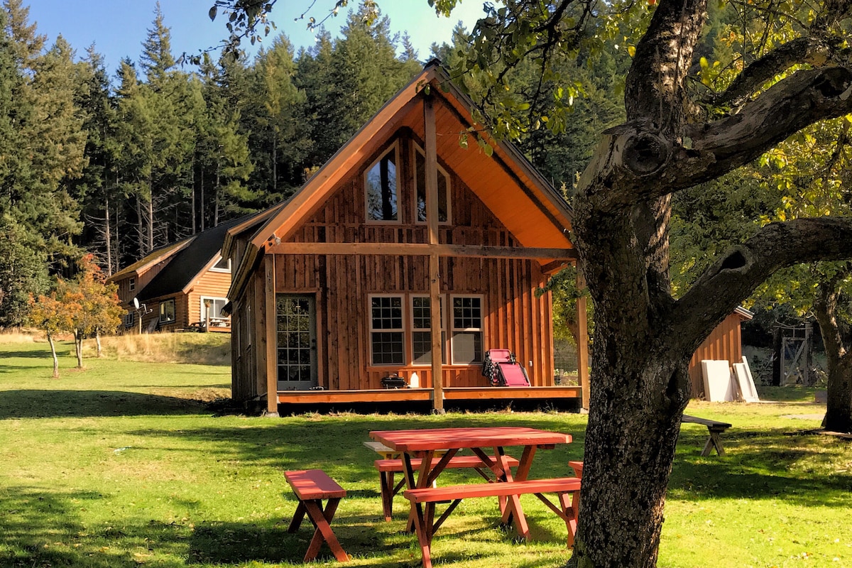 A recently built cabin with wooden siding is surrounded by a lush green lawn, framed by trees. A picnic area with red benches is situated in the foreground, inviting outdoor relaxation. The cabin features a spacious porch with ample windows, showcasing a bright and airy atmosphere.