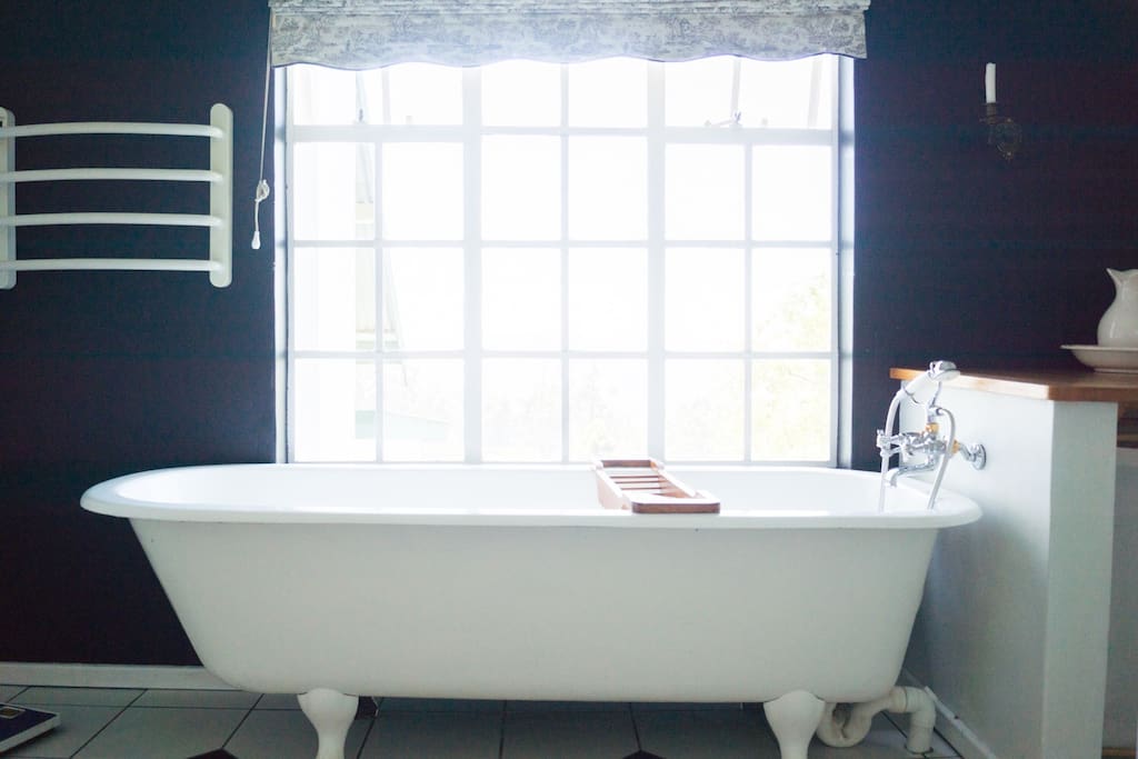 South Room- Victorian bath with a view