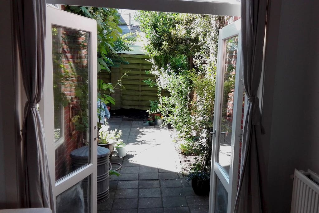Garden with a lot of sun