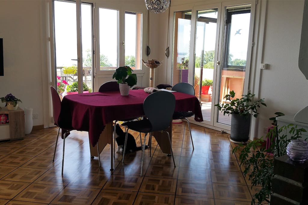 Salle à manger, table extensible