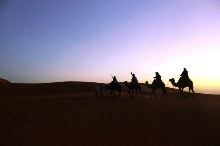 Merzouga Desert Camel Trek