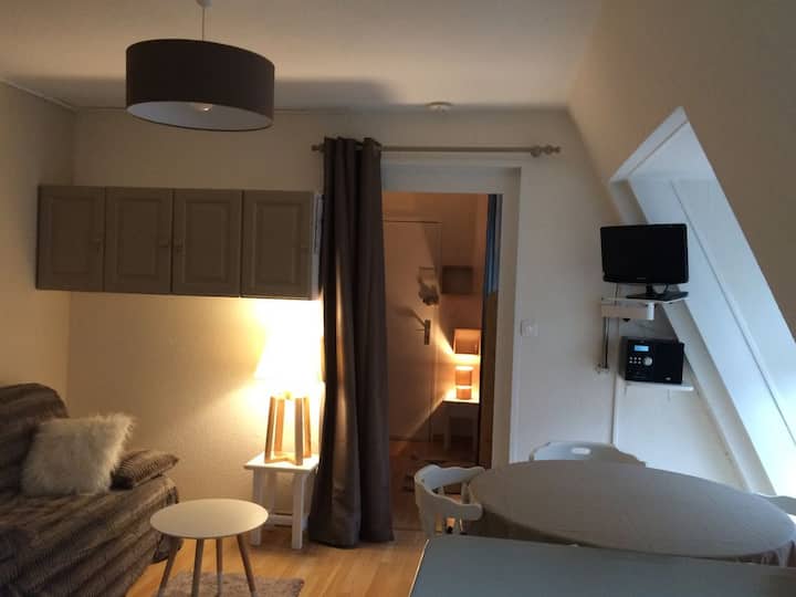 Appt Pasdelours 4/5 Pers Central Avec Parking - Cauterets