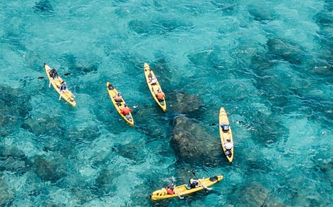 Actividades únicas en Maui