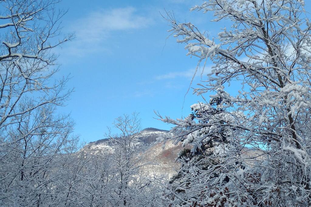 Winter SNOW & Winter BLUE !!