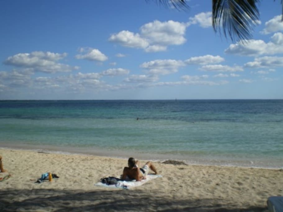 Beach view