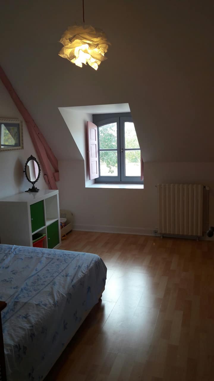 velika spavaća soba s bračnim krevetom i sofom 