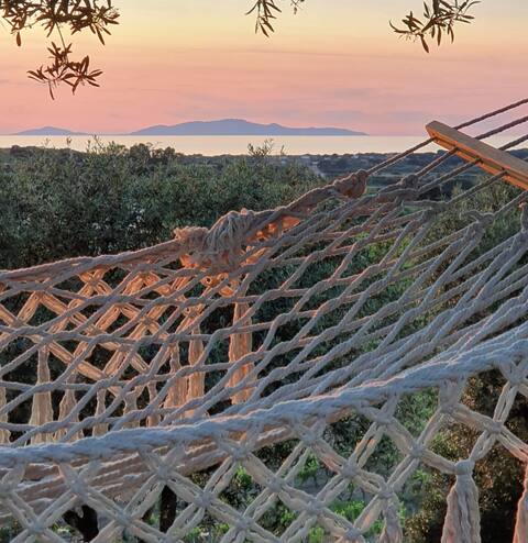 Sea view, among rows of olive trees and vineyards
