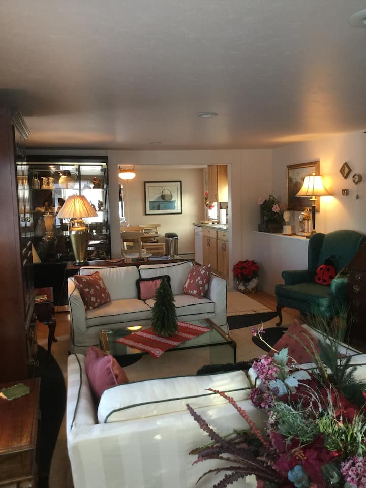 Living room looking into kitchen
