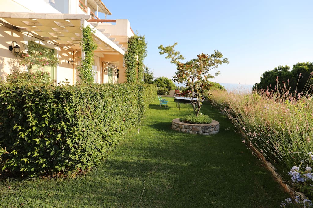 garden