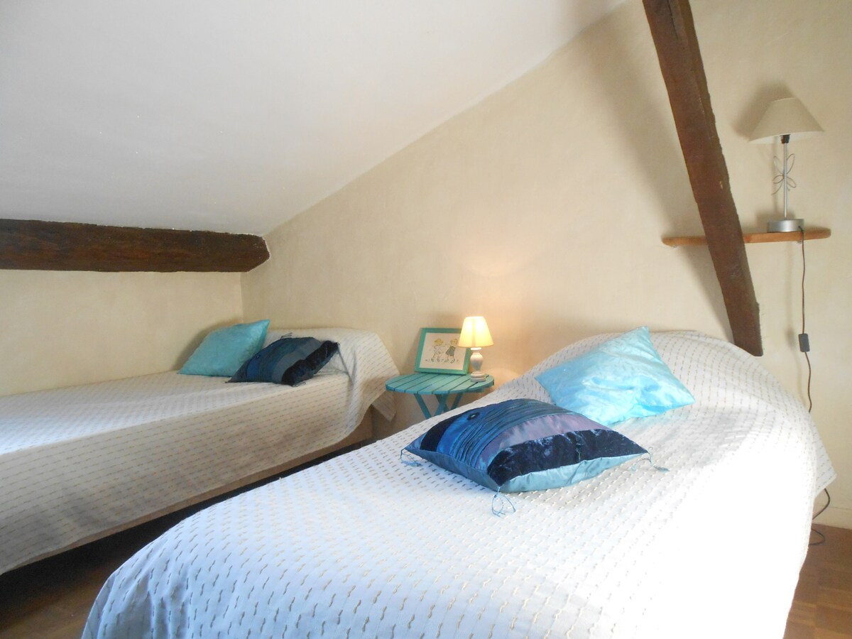 阁楼客房设有三张单人床和一扇屋顶窗户。 您可以通过大型鸟类房间的小楼梯进入。