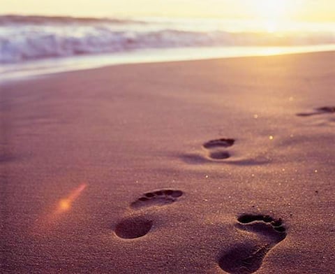 Top performing Airbnb: LONG POINT -"The Red Sand" Beachfront Luxury Condo in Norfolk County