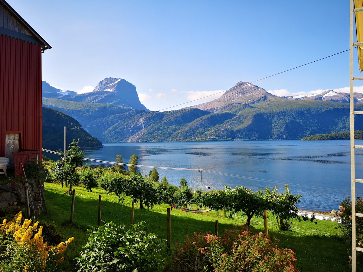 A scenic view showcases a tranquil fjord bordered by lush greenery and mountains in the background. A few colorful flowers add a touch of vibrancy to the foreground. The calm water reflects the clear blue sky, creating a serene atmosphere.