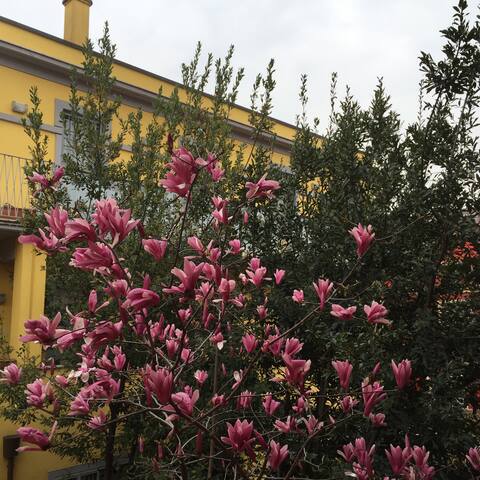 Navigli Downtown Cocco House Beautiful Cool Spaces gallery image 5