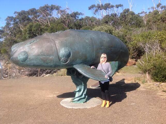 Summertime Cottage Tasmania gallery image 4