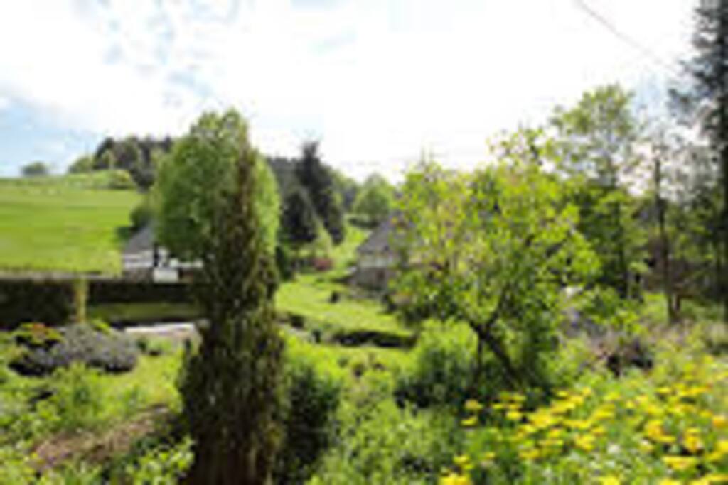 unsere Garten und umgebung