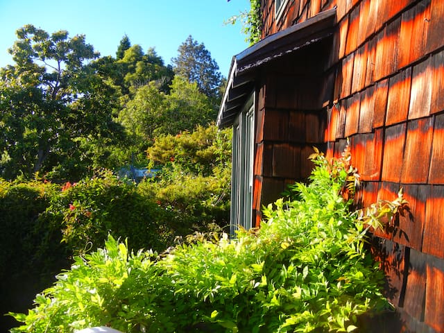 Campus Casual w Bay Views