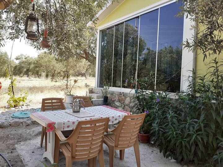 denizkoy vacation rentals homes izmir turkey airbnb