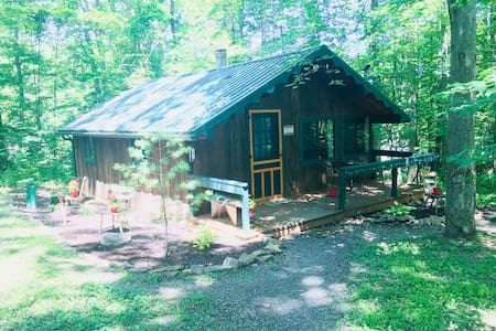 Lumberjack Cabin: WiFi+Near Bald Eagle State Park
