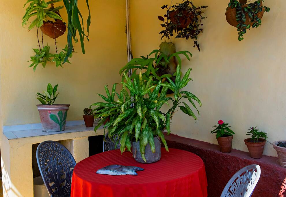 Terraza