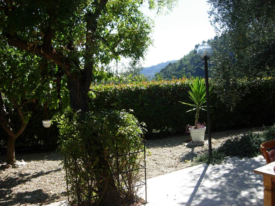 Giardino
