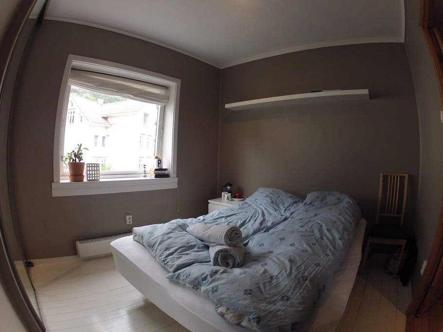 Comfortable bed in a bright room.
