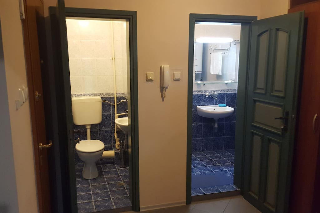 The toilet and bathroom