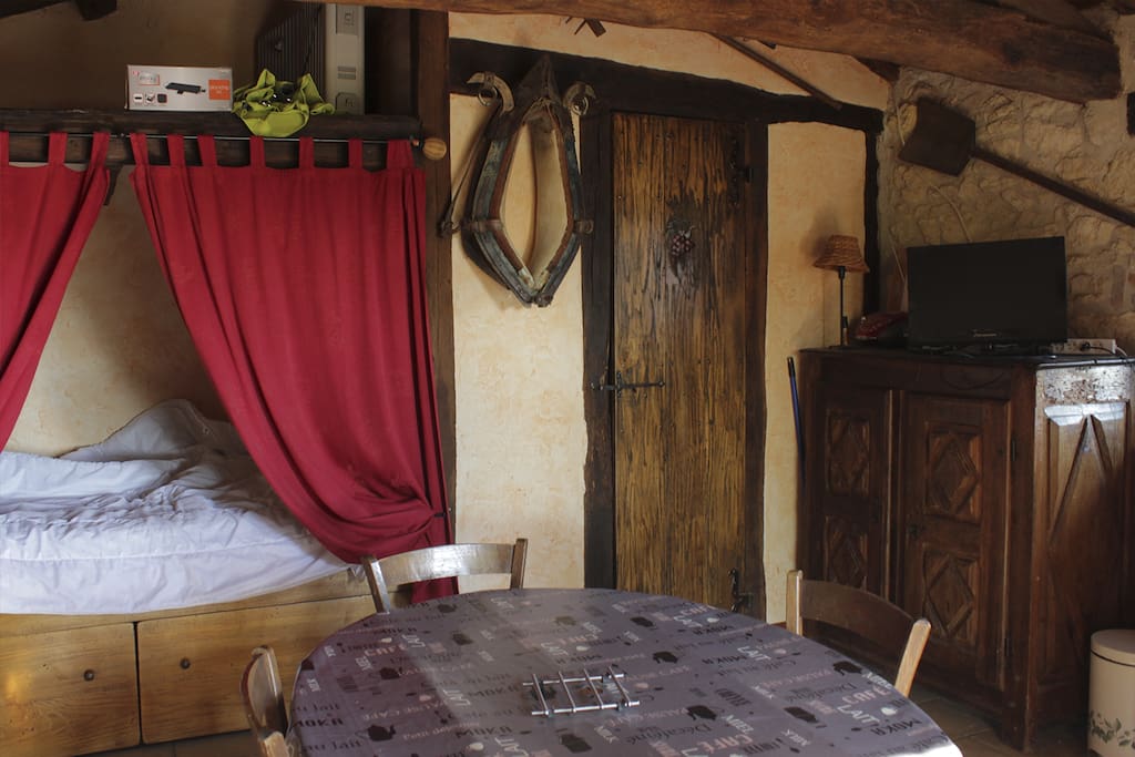 Vue intérieur sur le lit, la porte de la salle de bain et la télévision.
NB : le canapé convertible est situé contre le mur à gauche