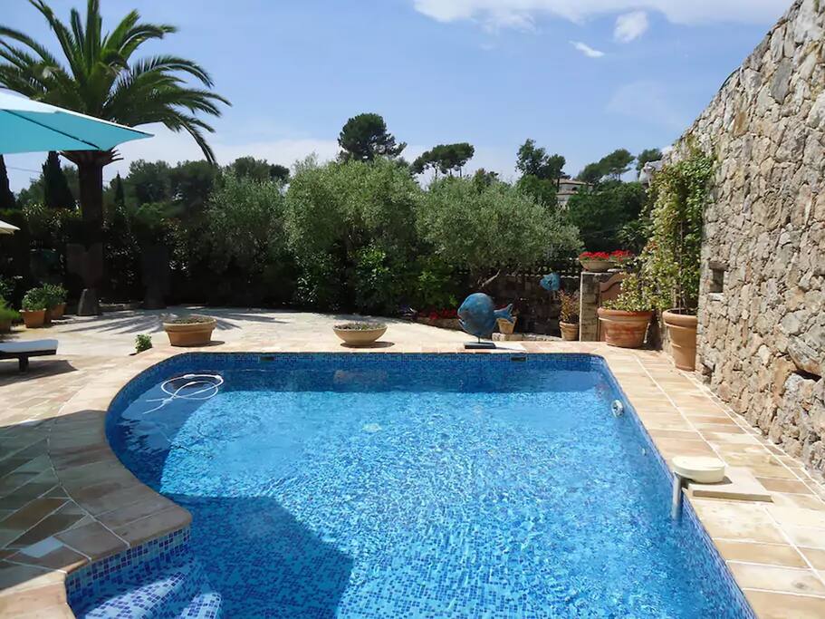 Fancy a swim? ...