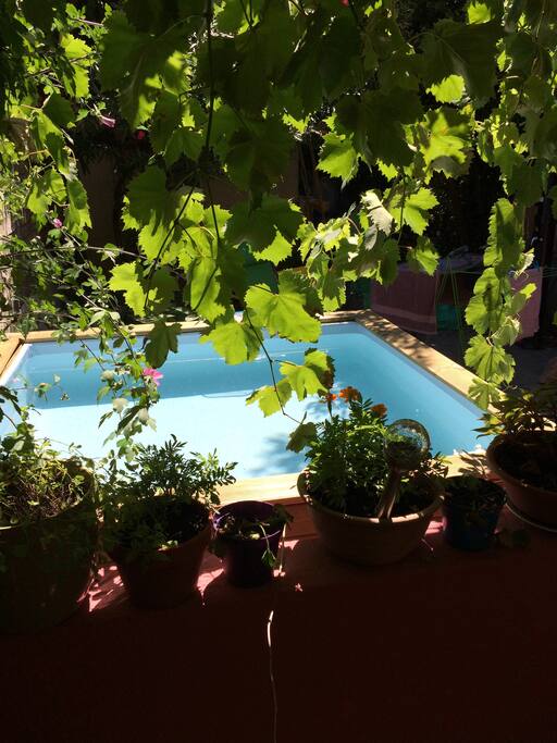 Mini piscine idéal pour se rafraîchir durant les étés hardants de Provence. Profondeur 72 cm.