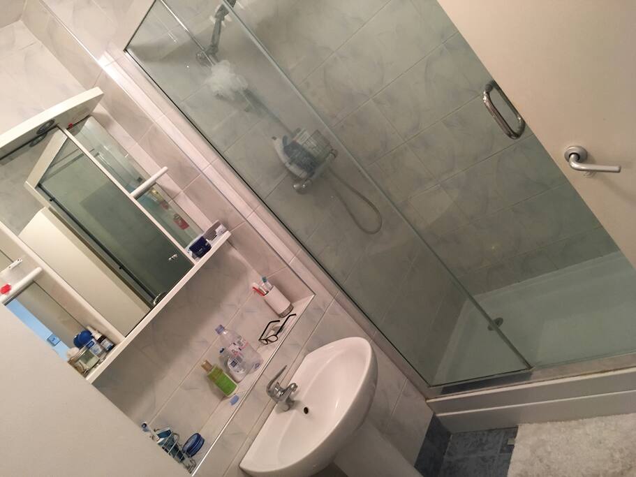 The bathroom. One toilet here and an additional toilet in the hall. The shower has great water pressure and never runs cold.