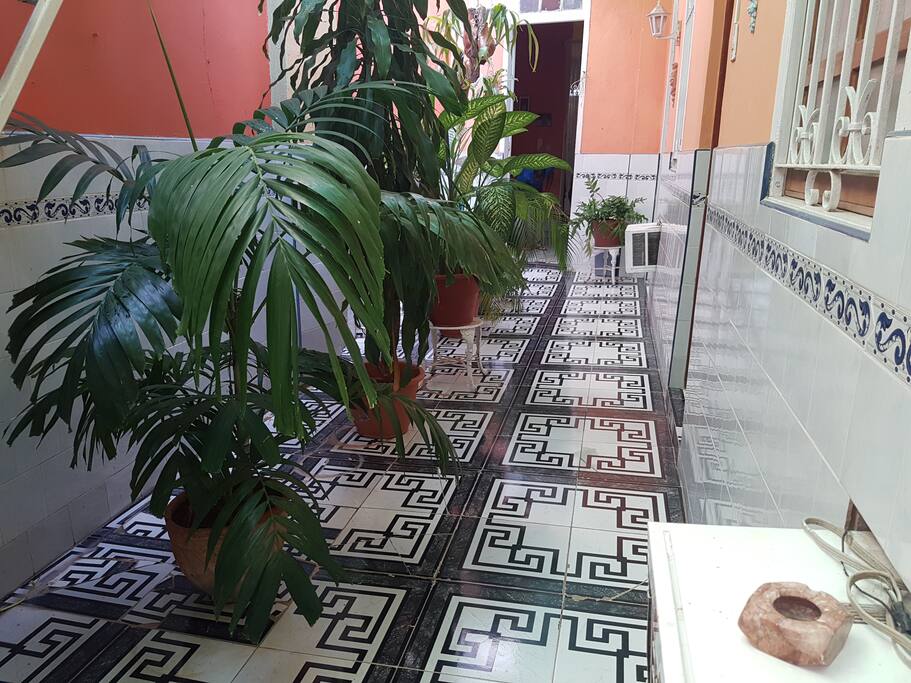 El patio